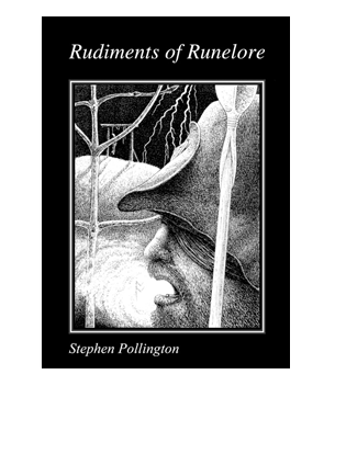 Book Cover for Rudiments of Runelore
